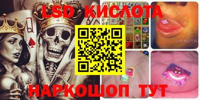 стафф Новодвинск