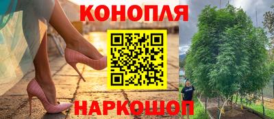 стафф Новодвинск